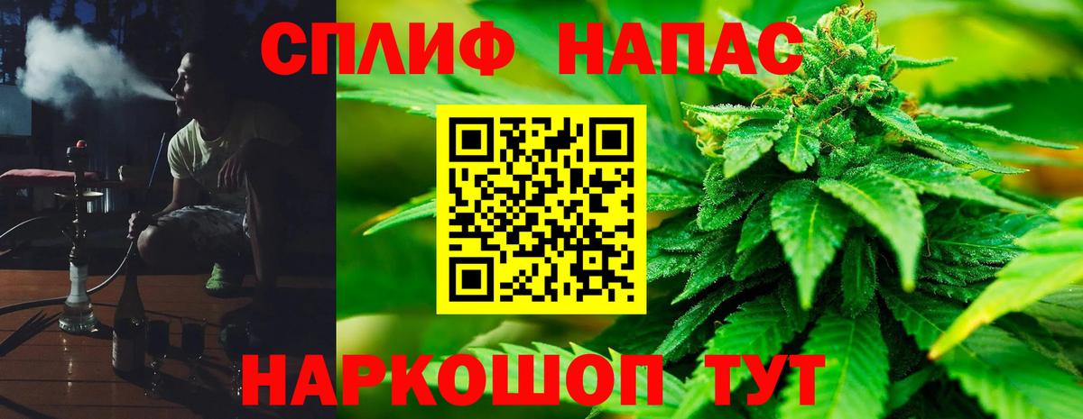 Шишки марихуана семена Тосно